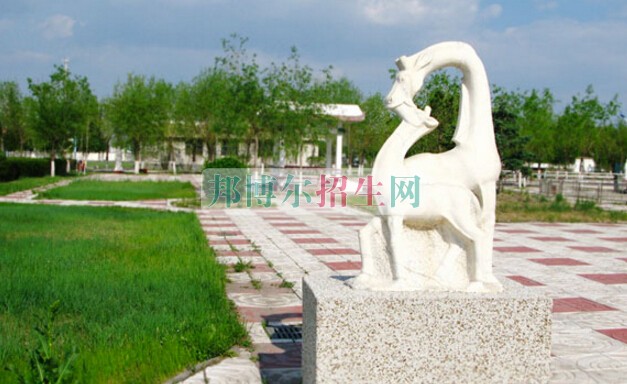 大慶醫(yī)學(xué)高等?？茖W(xué)校