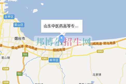 山東中醫(yī)藥高等??茖W(xué)校