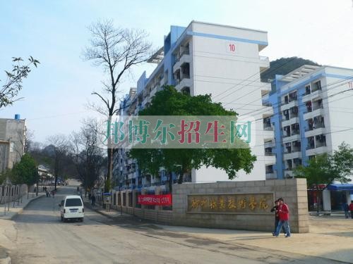 柳州職業(yè)技術(shù)學院招生辦聯(lián)系電話