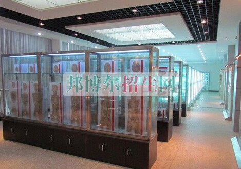 益陽醫(yī)學(xué)高等??茖W(xué)校