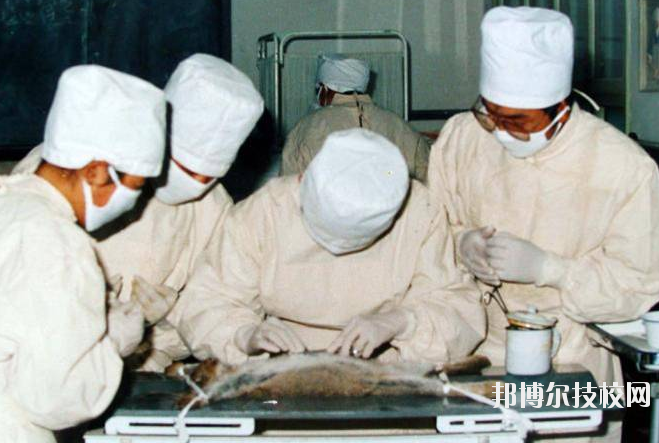 甘南州衛(wèi)生學(xué)校2020年招生錄取分?jǐn)?shù)線(xiàn)