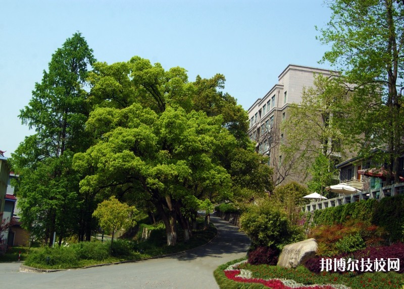 中國美術(shù)學(xué)院附屬中等美術(shù)學(xué)校2020年報(bào)名條件、招生要求、招生對象