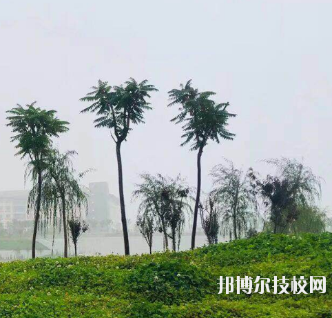 甘肅財(cái)貿(mào)職業(yè)學(xué)院2020年學(xué)費(fèi)、收費(fèi)多少
