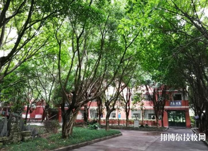 重慶舞蹈學(xué)校2020年報(bào)名條件、招生要求、招生對(duì)象