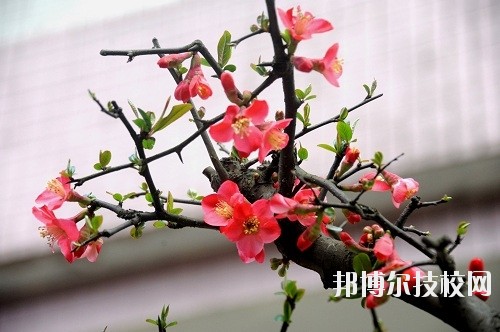 貴州廣播電影電視學(xué)校怎么樣、好不好