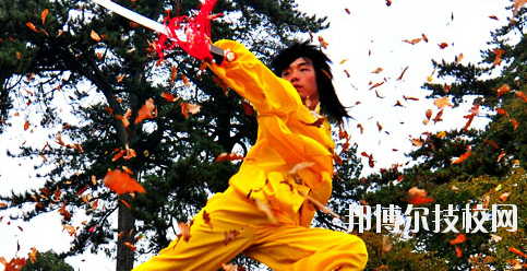 平?jīng)鲠轻嘉奈鋵W(xué)校2020年報名條件、招生要求、招生對象