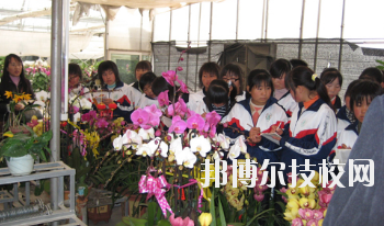 臨夏農業(yè)學校2020年招生錄取分數(shù)線
