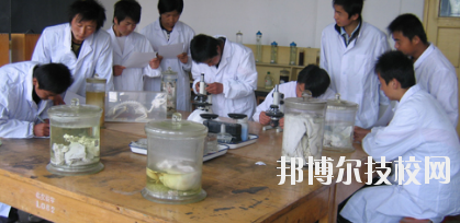 臨夏農(nóng)業(yè)學(xué)校2020年學(xué)費(fèi)、收費(fèi)多少