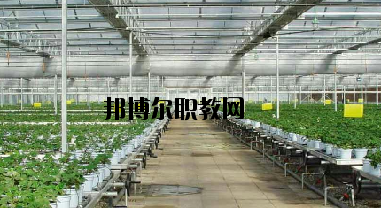 隴南農(nóng)業(yè)學(xué)校怎么樣、好不好