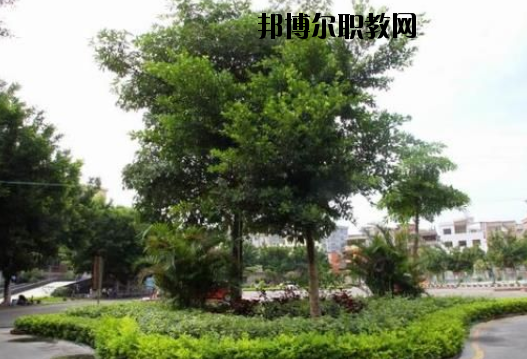 羅定中等職業(yè)技術學校2020年報名條件、招生要求、招生對象