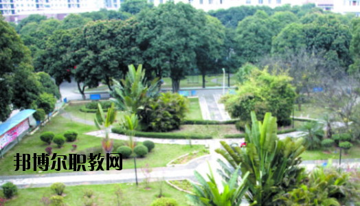 廣西百色農(nóng)業(yè)學校2020年報名條件、招生要求、招生對象 