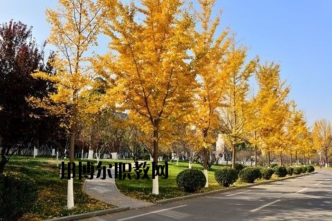 蘄春李時(shí)珍中等專業(yè)學(xué)校怎么樣、好不好