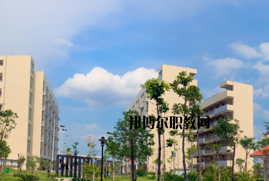 東莞信息技術(shù)學校網(wǎng)站網(wǎng)址