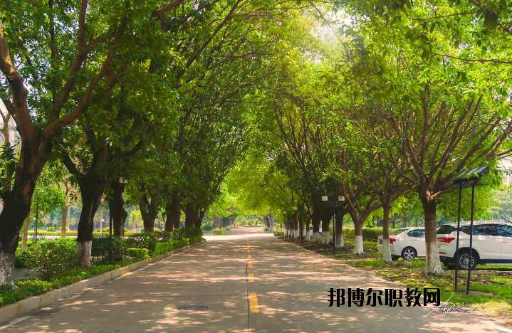 河南團(tuán)校2021年報(bào)名條件、招生要求、招生對(duì)象