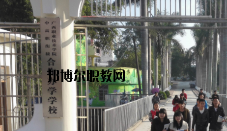 東興中等職業(yè)技術(shù)學校2020年招生簡章 