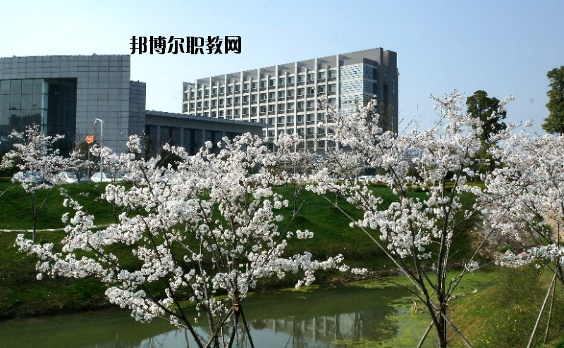 中國(guó)藥科大學(xué)2020年報(bào)名條件、招生要求、招生對(duì)象