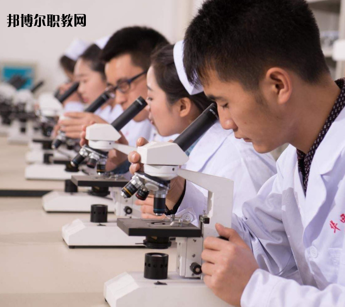 焦作護(hù)理學(xué)校怎么樣、好不好