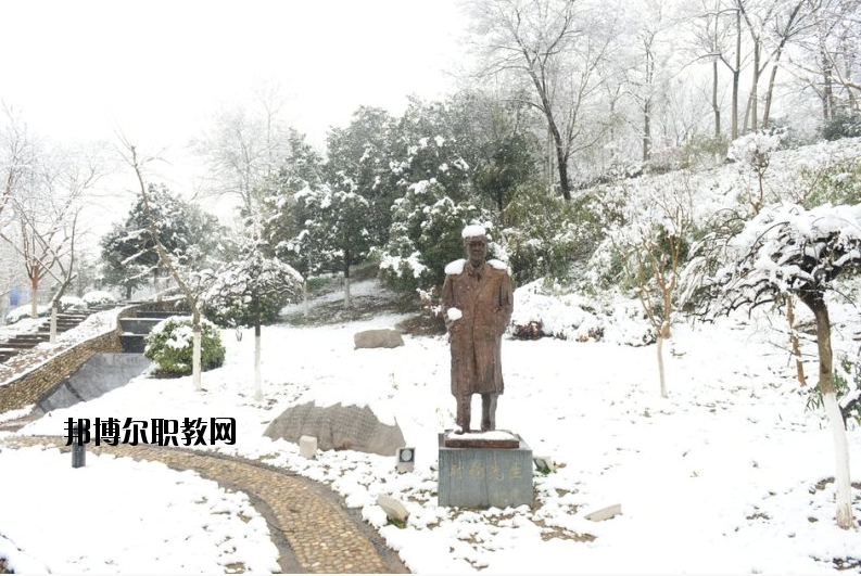 南京工業(yè)大學(xué)2020年報(bào)名條件、招生要求、招生對(duì)象
