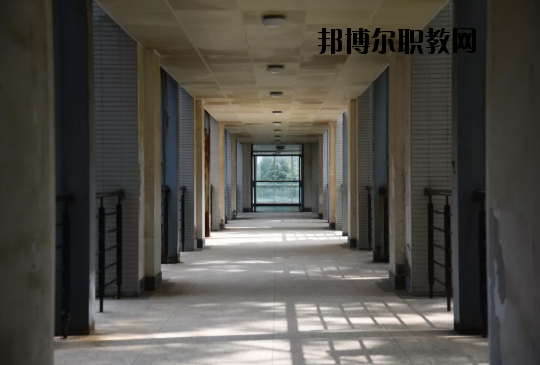 東南大學(xué)2020年報(bào)名條件、招生要求、招生對(duì)象