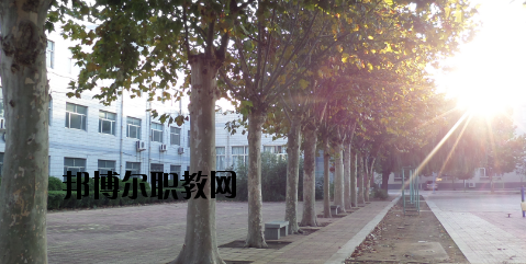 武都職業(yè)中學(xué)2020年招生辦聯(lián)系電話(huà)