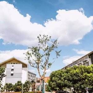 南京科技職業(yè)學(xué)院怎么樣、好不好