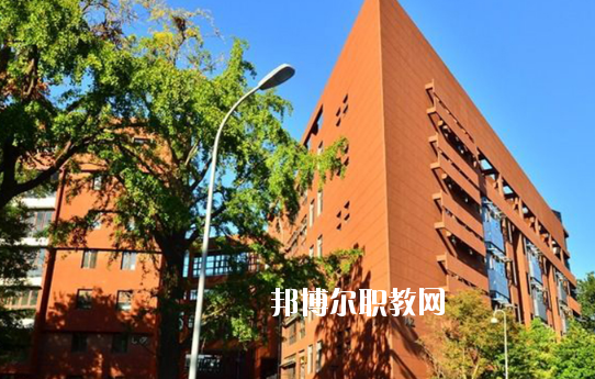 湛江湛港職業(yè)技術學校2020年報名條件、招生要求、招生對象