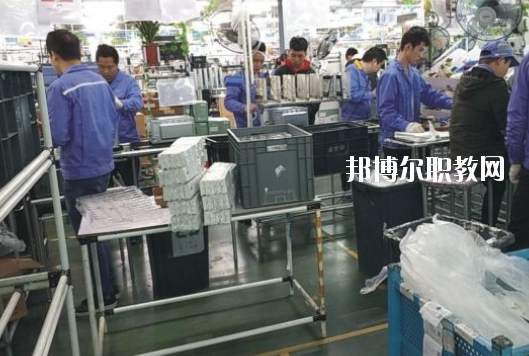 遂溪縣職業(yè)技術(shù)學(xué)校2020年報(bào)名條件、招生要求、招生對(duì)象