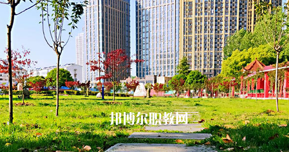 合肥飛躍學(xué)校2020年報(bào)名條件、招生要求、招生對(duì)象 