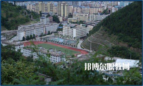 廣元朝天職業(yè)中學(xué)2020年報(bào)名條件、招生要求、招生對象