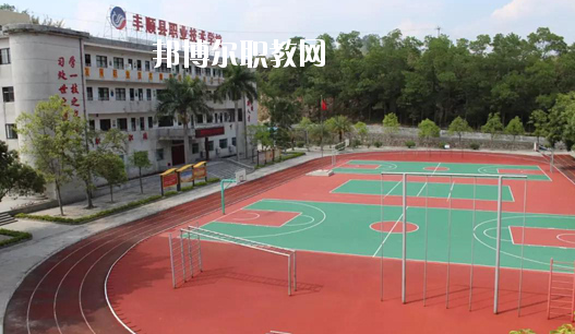 豐順縣職業(yè)技術(shù)學(xué)校2020年招生錄取分數(shù)線