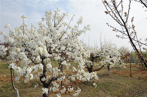 宿遷高等師范學(xué)校怎么樣、好不好
