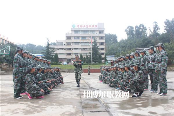 云南林業(yè)高級(jí)技工學(xué)校2021年學(xué)費(fèi)、收費(fèi)多少