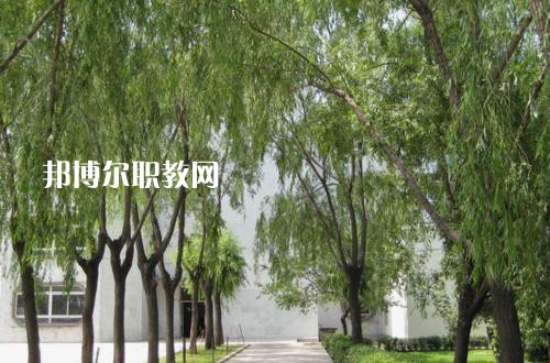 新疆喀什地區(qū)衛(wèi)生學(xué)校2021年報(bào)名條件、招生要求、招生對(duì)象