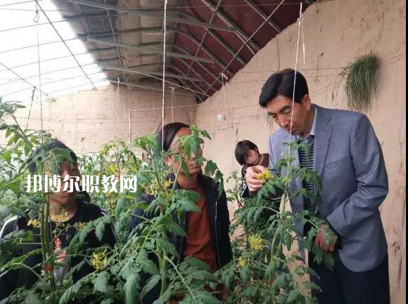 甘肅省臨夏州職業(yè)技術(shù)學(xué)校2022年學(xué)費(fèi)、收費(fèi)多少