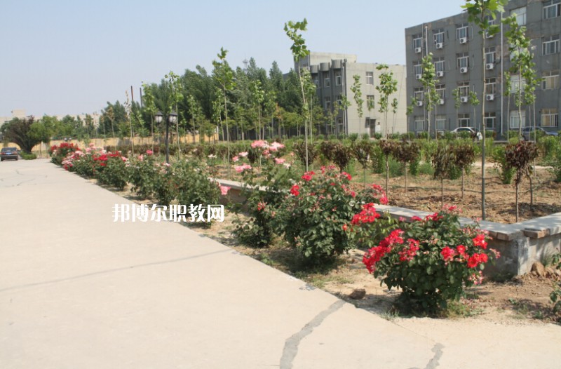 武強綜合職業(yè)技術(shù)教育中心2022年報名條件、招生要求、招生對象