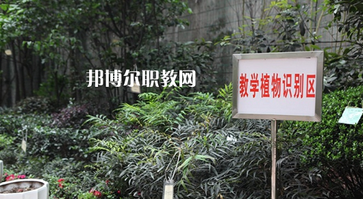 重慶風(fēng)景園林技工學(xué)校2022年學(xué)費(fèi)、收費(fèi)多少