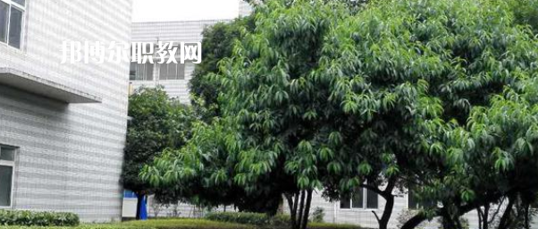 成都市中山職業(yè)技術(shù)學(xué)校2022年報(bào)名條件、招生要求、招生對(duì)象
