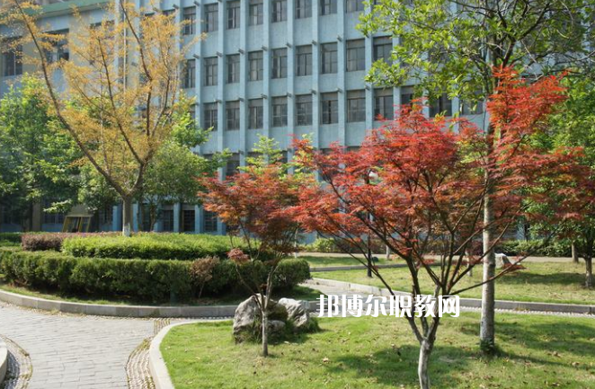 廉江市衛(wèi)生職業(yè)技術(shù)學(xué)校怎么樣、好不好
