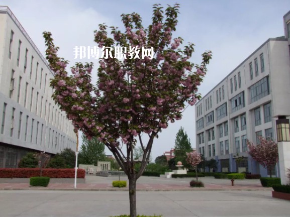 陳倉(cāng)區(qū)職業(yè)教育中心2022年報(bào)名條件、招生要求、招生對(duì)象