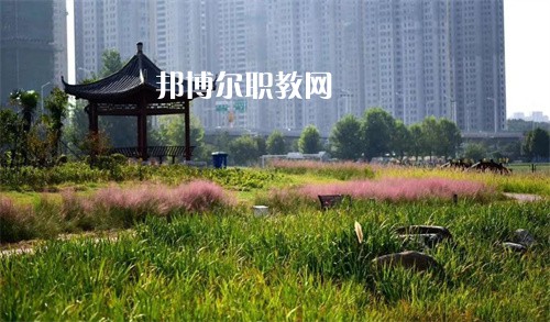 徐州生物工程職業(yè)技術(shù)學(xué)院中專部2022年報名條件、招生要求、招生對象