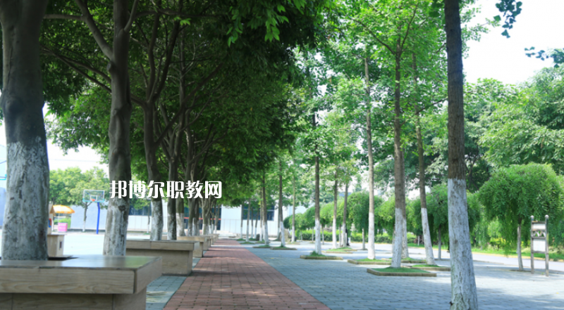 鎮(zhèn)雄縣職業(yè)高級中學(xué)2022年報名條件、招生要求、招生對象