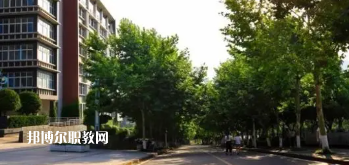 重慶醫(yī)藥高等?？茖W(xué)校好不好_2023年有單招嗎
