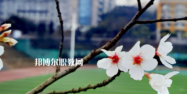 2023眉山技師學(xué)院招生計(jì)劃 招生人數(shù)是多少(附要求、條件、對(duì)象)