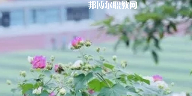 眉山技師學(xué)院地址在哪里，哪個地區(qū)，哪個城市?