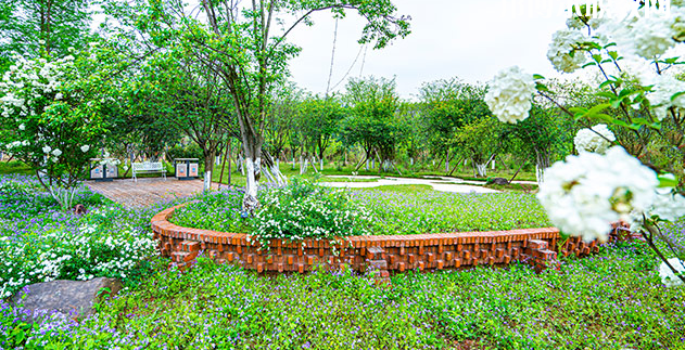 重慶望江技工學(xué)校地址在哪里，哪個(gè)地區(qū)，哪個(gè)城市?