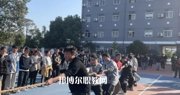 2023杭州僑星中學(xué)招生計(jì)劃 招生人數(shù)是多少(附要求、條件、對(duì)象)