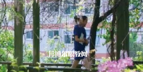 2023金華市成功學(xué)校招生計(jì)劃 招生人數(shù)是多少(附要求、條件、對(duì)象)
