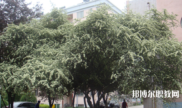 寶雞技師學(xué)院地址，乘車路線