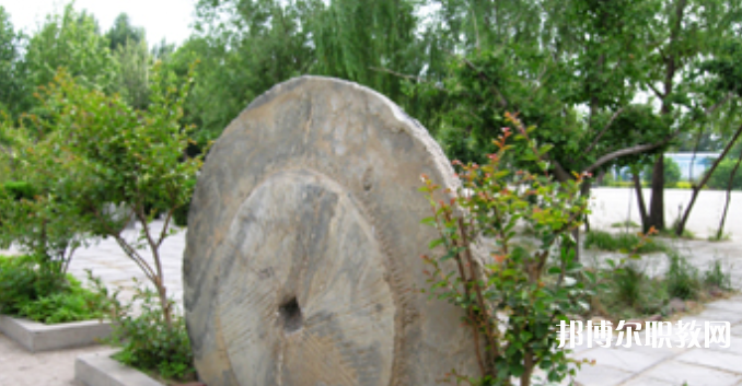 野風(fēng)美術(shù)中學(xué)怎么樣、好不好