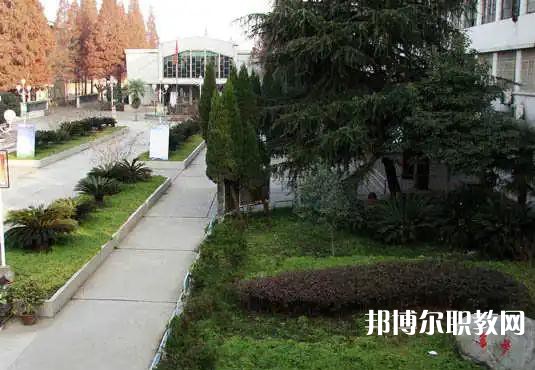陜西商業(yè)學校2023年招生錄取分數(shù)線（2024參考）